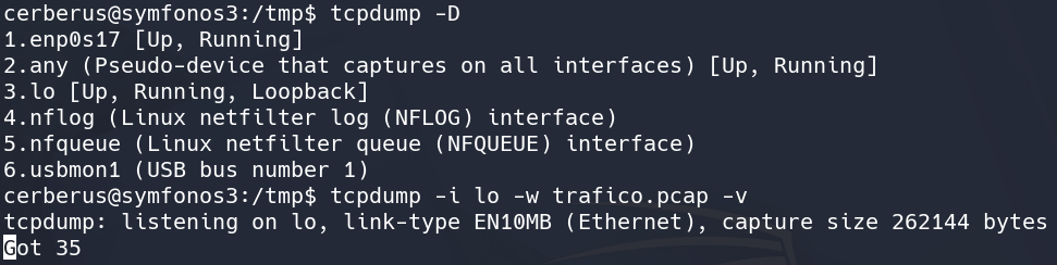 sym3 tcpdump captura.png